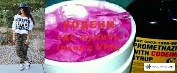 стаф Алзамай