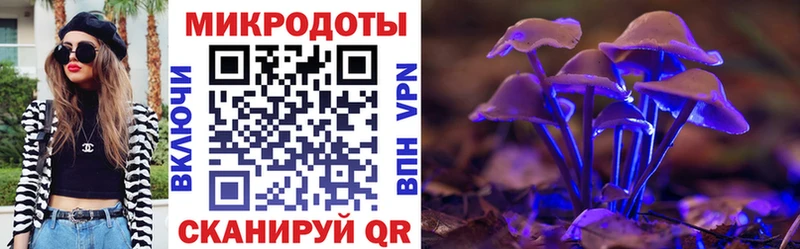 наркошоп  Вологда  Псилоцибиновые грибы мицелий 